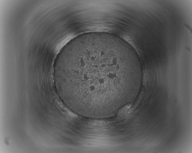 X0000102361071200808081125