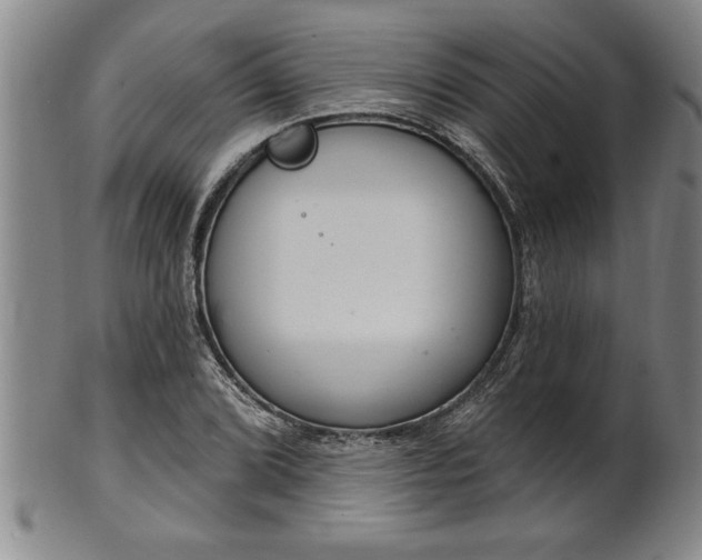 X0000102361072200808081125