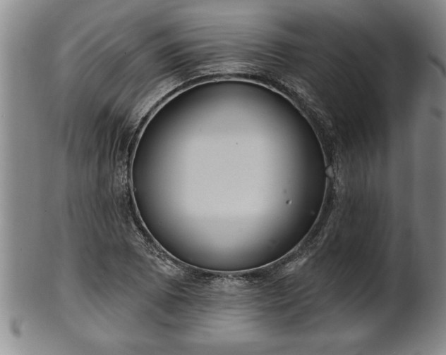 X0000102361073200808081125