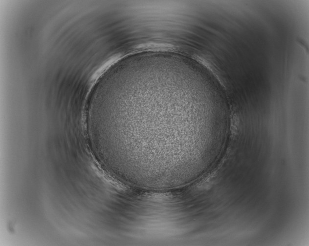X0000102361074200808081125
