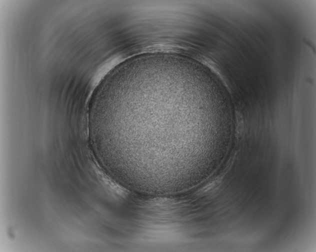X0000102361075200808081125