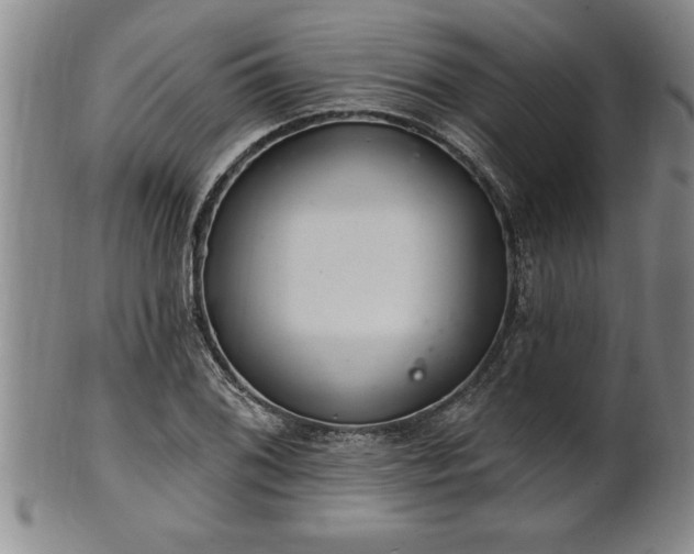 X0000102361076200808081125