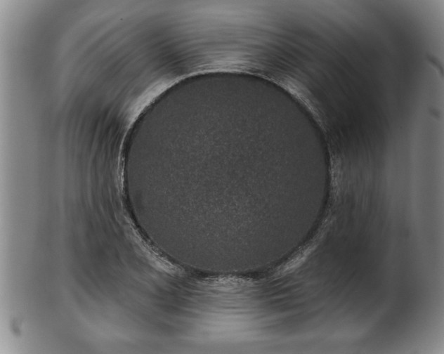 X0000102361077200808081125