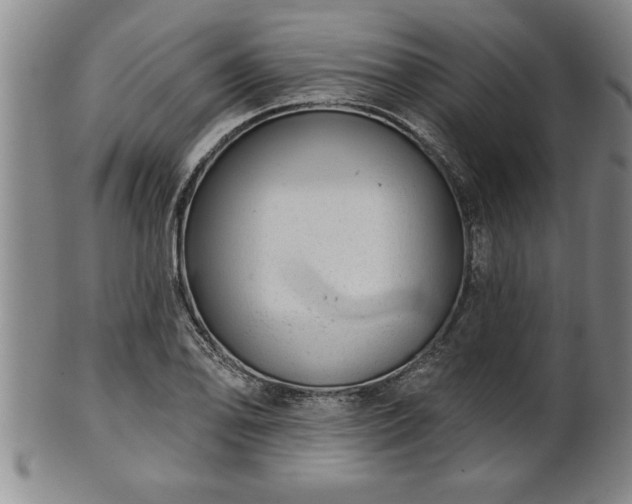 X0000102361078200808081125