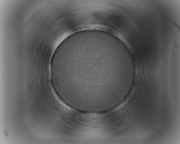 X0000102361079200808081125