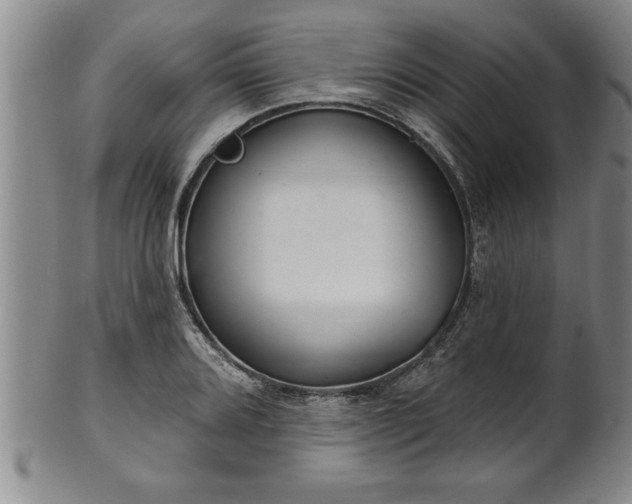 X0000102361080200808081125