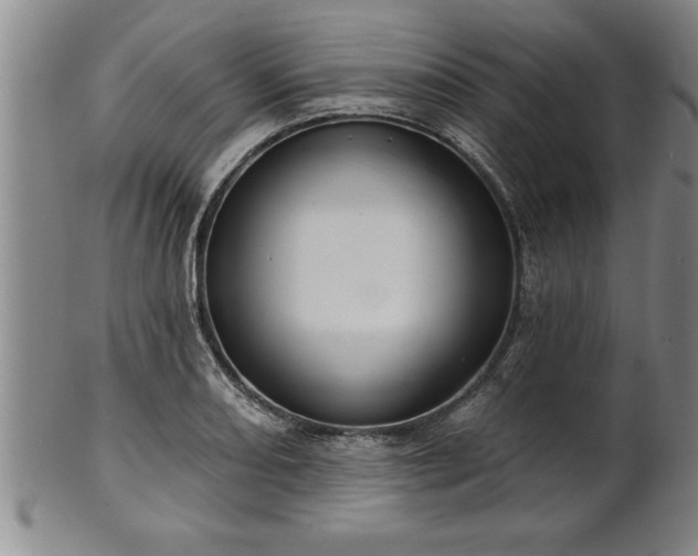 X0000102361082200808081125