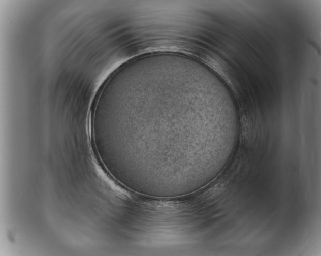 X0000102361084200808081125