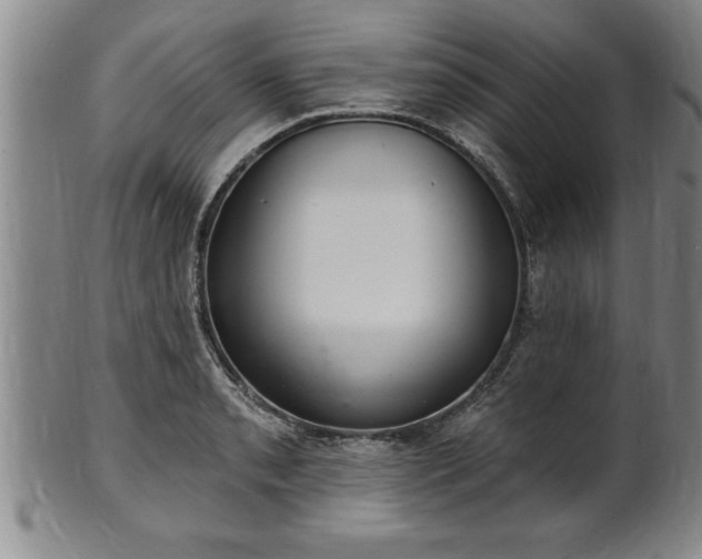 X0000102361085200808081125