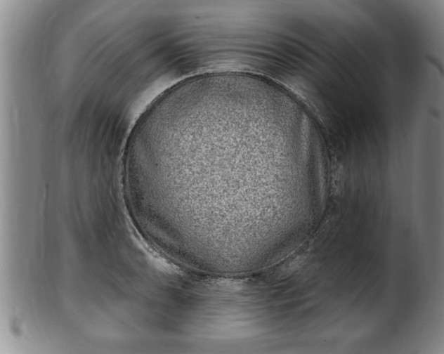 X0000102361086200808081125