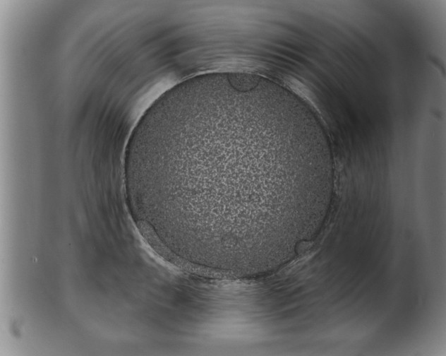 X0000102361087200808081125