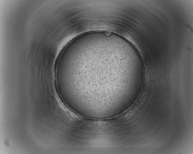 X0000102361088200808081125