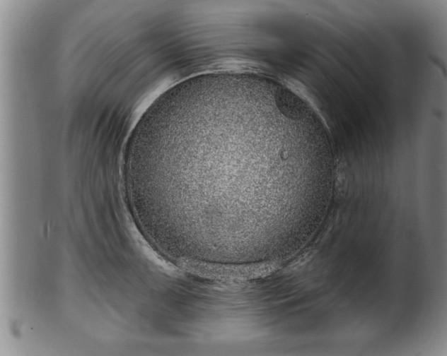 X0000102361091200808081125