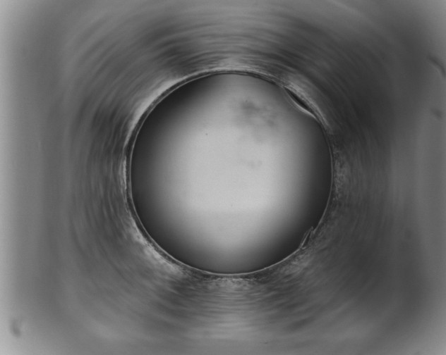 X0000102361092200808081125