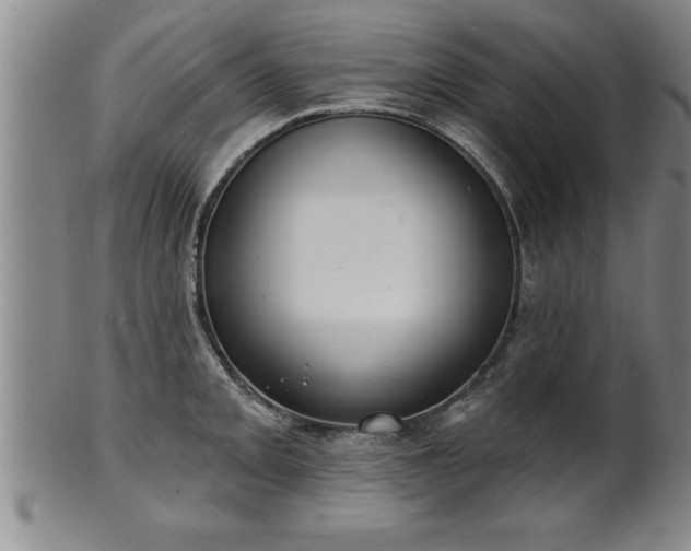 X0000102361093200808081125