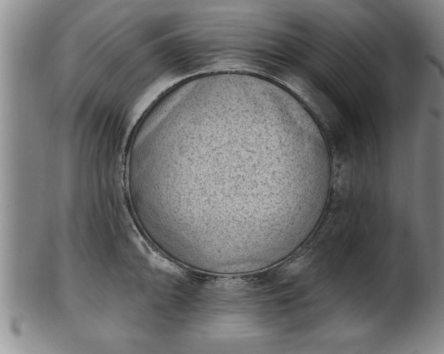 X0000102361094200808081125