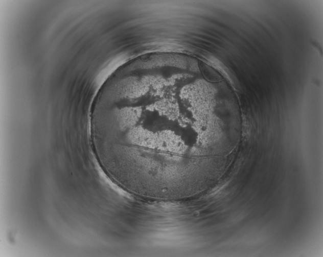 X0000102361095200808081125