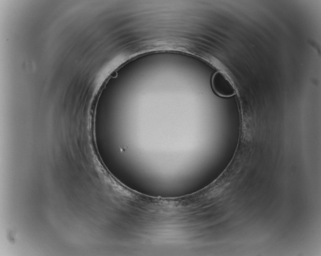 X0000102361096200808081125
