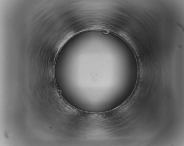 X0000102361097200808081125