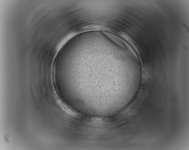 X0000102361098200808081125