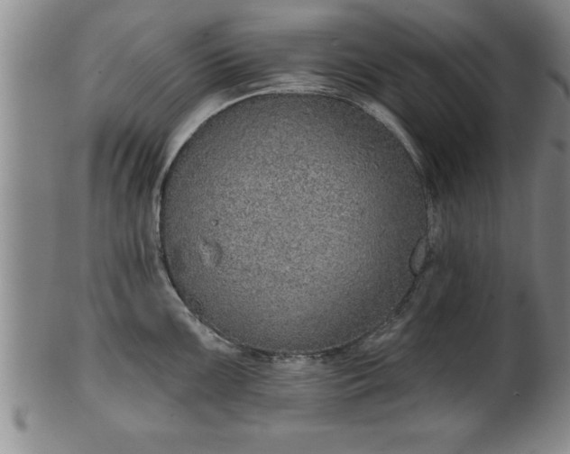 X0000102361099200808081125