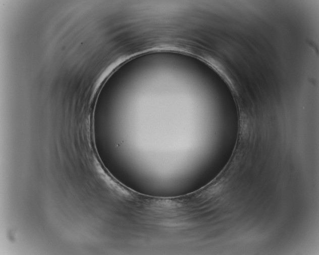 X0000102361100200808081125