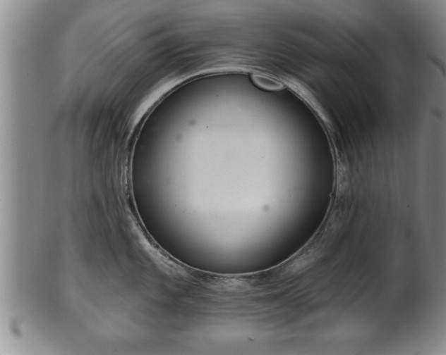 X0000102361101200808081125