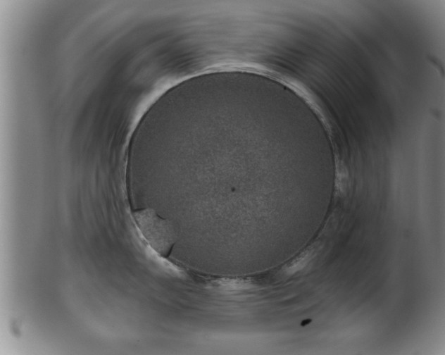 X0000102361102200808081125