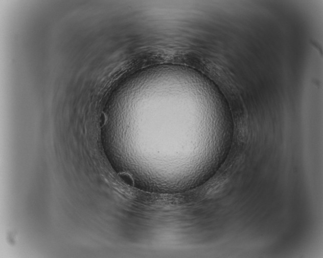 X0000102361105200808081124