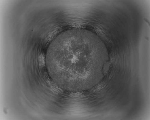X0000102361106200808081124