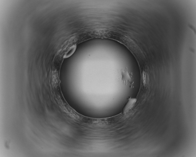 X0000102361107200808081124