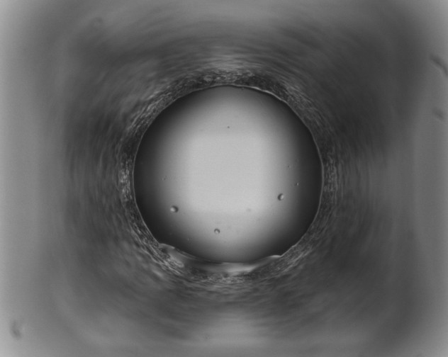 X0000102361109200808081124