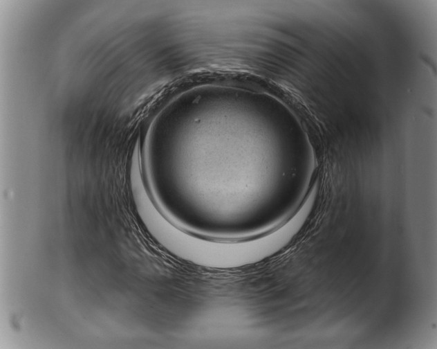 X0000102361110200808081124