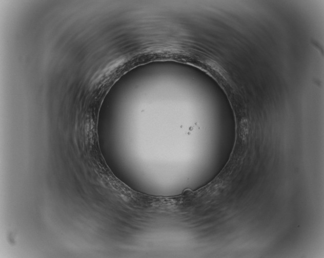 X0000102361111200808081124