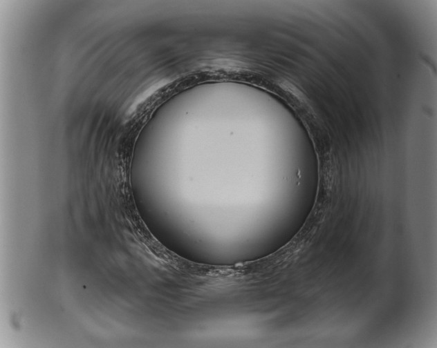 X0000102361112200808081124