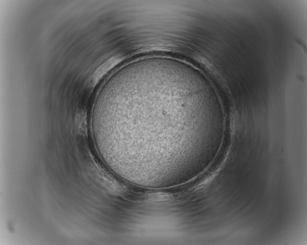 X0000102361113200808081124
