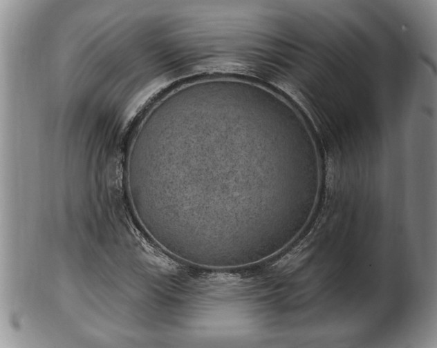 X0000102361115200808081124