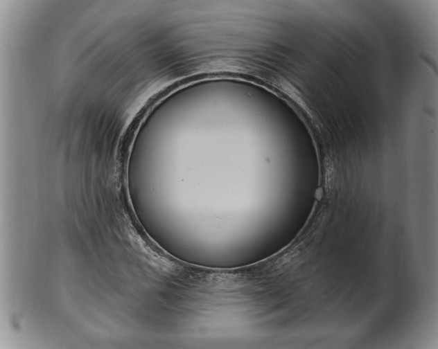 X0000102361116200808081124