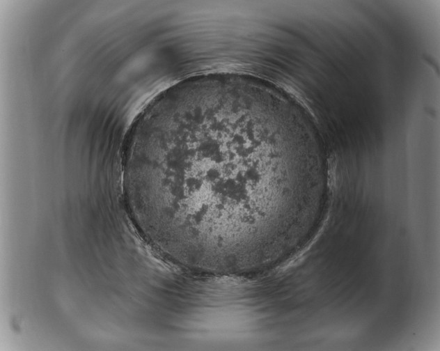 X0000102361117200808081124