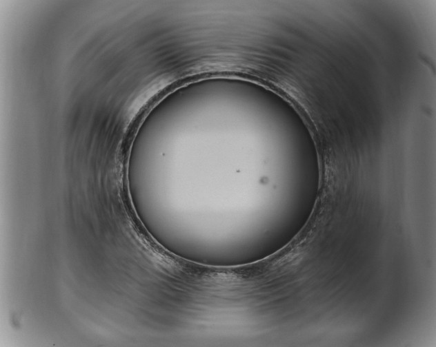 X0000102361119200808081124