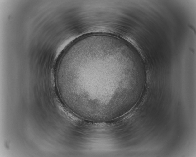 X0000102361120200808081124