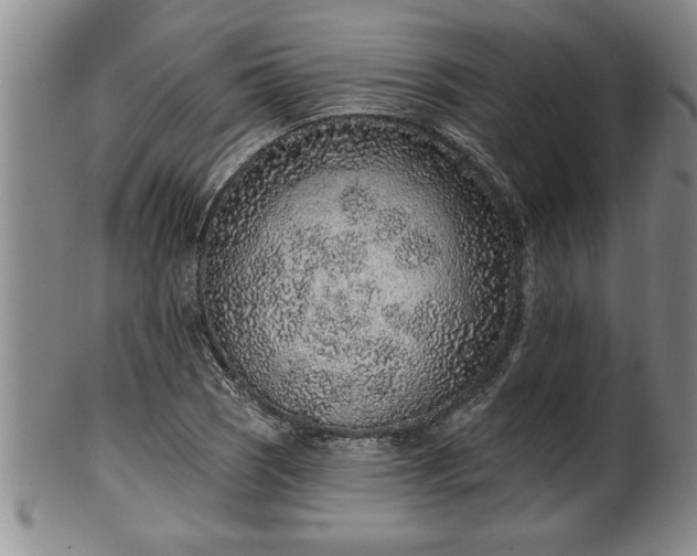 X0000102361121200808081124