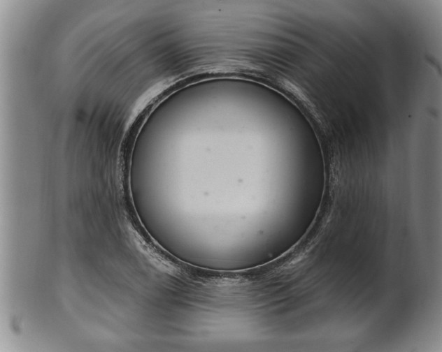 X0000102361122200808081124