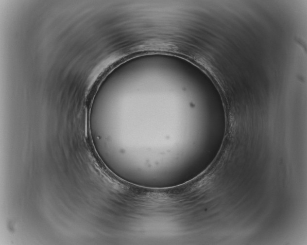 X0000102361123200808081124