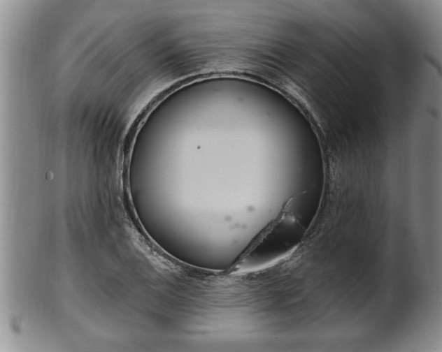 X0000102361124200808081124