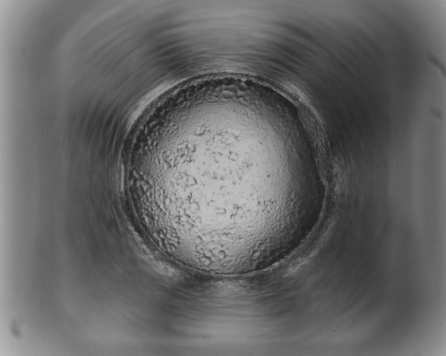 X0000102361125200808081124