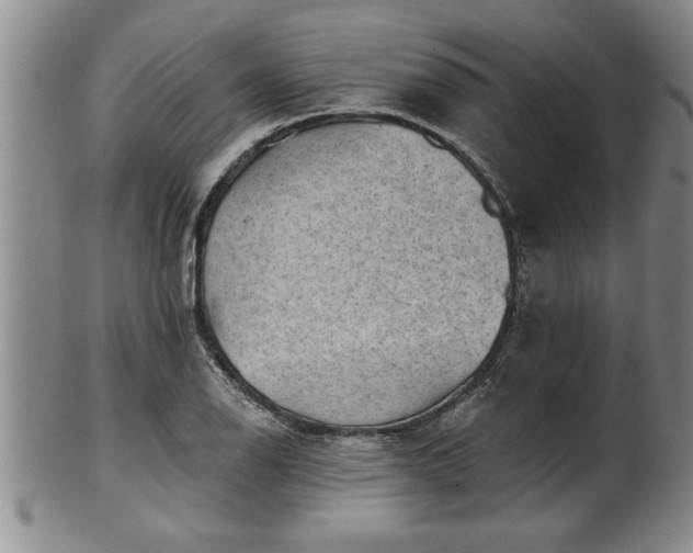 X0000102361126200808081124