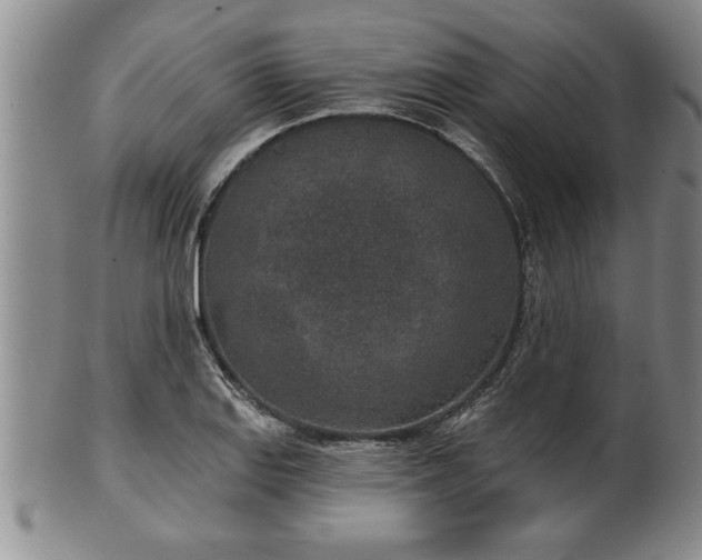 X0000102361127200808081124