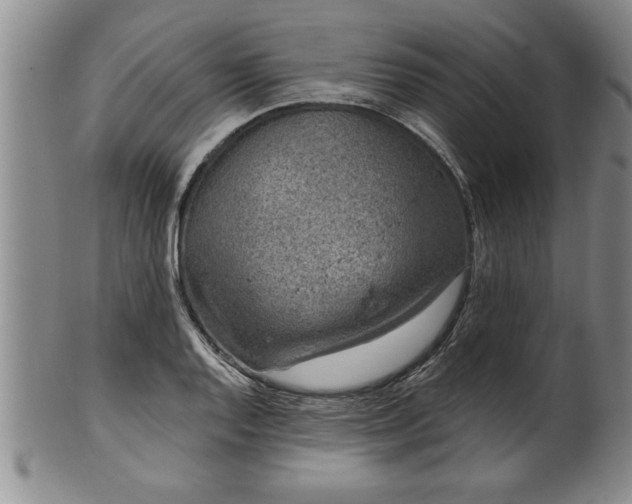 X0000102361128200808081124