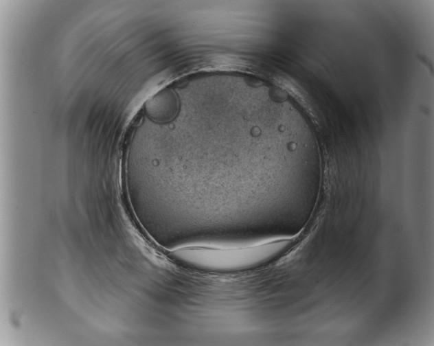 X0000102361130200808081124